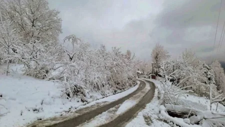 Artvin’de yağmur ve yüksek kesimlerde kar yağışı bekleniyor