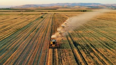 Tarım arazileri el değiştiriyor: Yabancı yatırımcılar 2025’te 270 bin dönüm arazi satın aldı