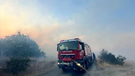 Dikili Çandarlı’daki site yangınında 7 ev tamamen, 4 ev kısmen yandı