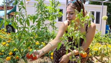 Antalya’da kadın kooperatifleri yöresel lezzetleri ekonomiye kazandırıyor