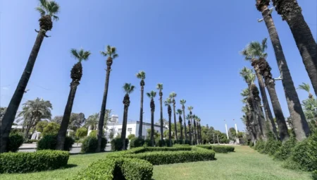 İzmir’de Palmiyeler Yapay Zeka Destekli Sismik Sensörlerle Kırmızı Palmiye Böceğine Karşı Korunuyor