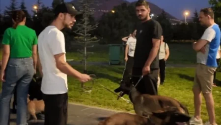 Kayseri’de Proteo Köpek Eğitim Parkuru köpek sahiplerinden yoğun ilgi gördü