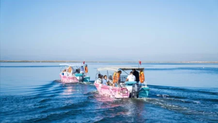İzmir’de Flamingo Yolu turları yeniden başladı, Gediz Deltası’nda yüzlerce kuş türü gözlemleniyor