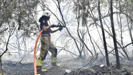 İzmir’in Menderes ilçesinde çıkan orman yangınına havadan ve karadan yoğun müdahale